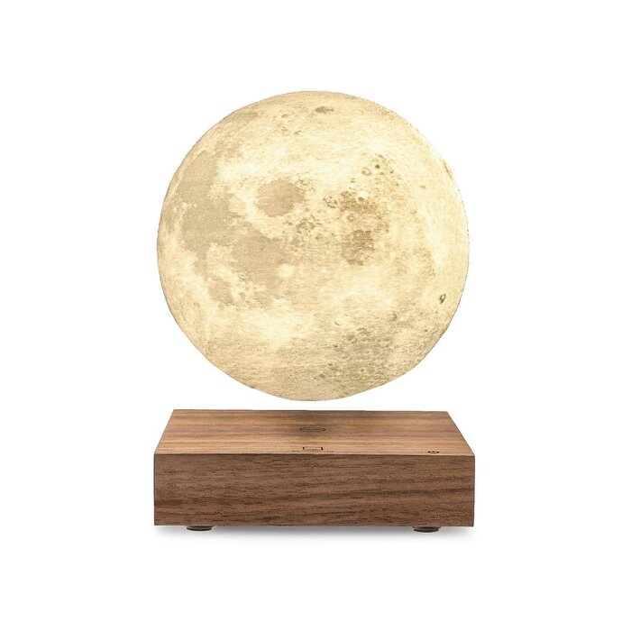 G019AH Gingko Smart Moon Lamp07