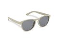 Sunglasses wheat straw Earth 4