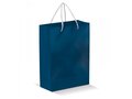 Paper Bag Large 10