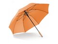 Stick umbrella 25” auto open 5