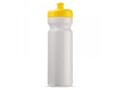 Sport bottle 750 Basic 29