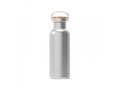 Thermo bottle Ashton 500ml 3