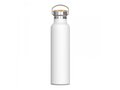 Thermo bottle Ashton 650ml 1