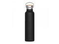 Thermo bottle Ashton 650ml 2