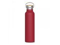 Thermo bottle Ashton 650ml 6