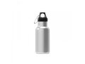 Thermo bottle Lennox 350ml 3