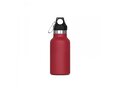 Thermo bottle Lennox 350ml 6