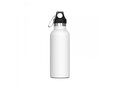 Thermo bottle Lennox 500ml