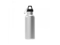 Thermo bottle Lennox 500ml 3