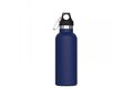 Thermo bottle Lennox 500ml 4