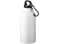 Drinking Bottle With Karabiner