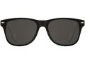 Sun Ray colour pop sunglasses 3