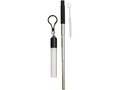 Zeya reusable stainless steel straw keychain