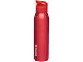 Sky 650 ml sport bottle 6