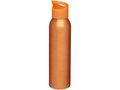 Sky 650 ml sport bottle 9