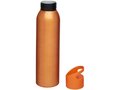 Sky 650 ml sport bottle 12