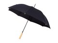 Alina 23" auto open recycled PET umbrella 1