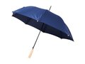 Alina 23" auto open recycled PET umbrella 10