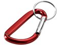 Carabiner key chain