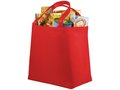 Maryville non-woven shopper 9