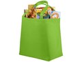 Maryville non-woven shopper 15