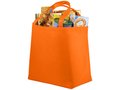 Maryville non-woven shopper 13