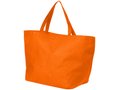 Maryville non-woven shopper 12