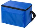 Kumla lunch cooler bag 9