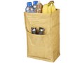 Brown Paper Bag Cooler 5