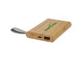 Tulda 5000 mAh bamboo power bank 2