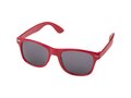 Sun Ray rPET sunglasses 9