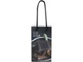 Handmade integra paper bag with plastic handles - small 9