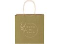 Kraft paper bag with twisted handles - small 9