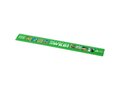 Refari 30 cm recycled plastic ruler 17