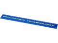 Ruler School 30 cm. 17