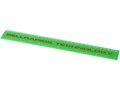 Ruler School 30 cm. 16