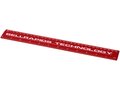 Ruler School 30 cm. 15