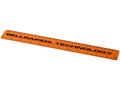 Ruler School 30 cm. 10