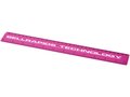 Ruler School 30 cm. 9