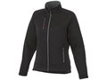 Chuck softshell jacket 19