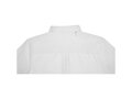 Pollux long sleeve men's shirt 66