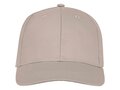 Ares 6 panel cap 7