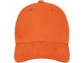 Davis 6 panel cap 29