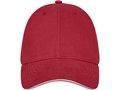 Darton 6 panel sandwich cap 5