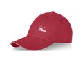 Darton 6 panel sandwich cap 4