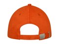 Darton 6 panel sandwich cap 9