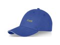 Darton 6 panel sandwich cap 13