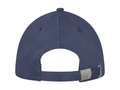 Darton 6 panel sandwich cap 18