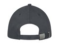 Darton 6 panel sandwich cap 24