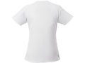 Amery short sleeve women's cool fit v-neck shirt 4